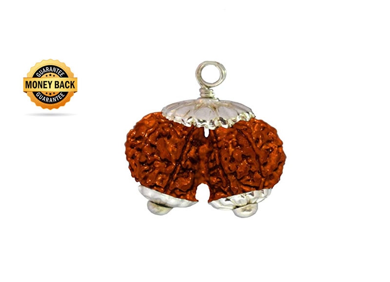 Gauri Shankar Rudraksha