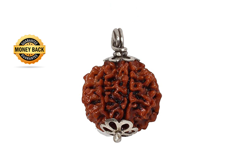 Nepal Origin 4 Mukhi Rudraksha