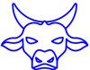 Taurus